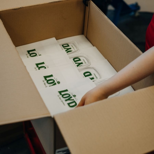 Papírová taška s potiskem